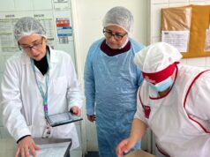 Junaeb no se detiene: más de 75 iniciativas darán continuidad al apoyo estudiantil este verano en La Araucanía