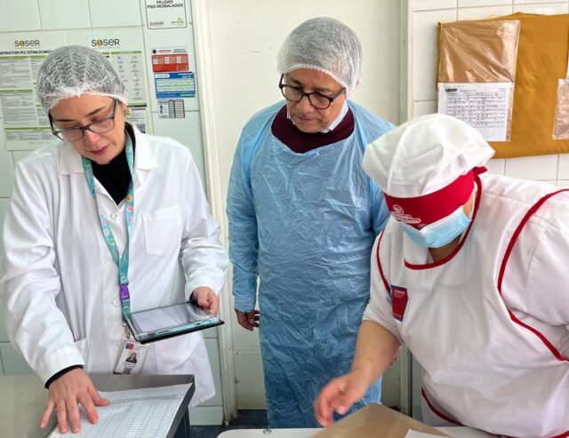 Junaeb no se detiene: más de 75 iniciativas darán continuidad al apoyo estudiantil este verano en La Araucanía