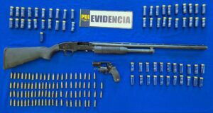 Incauta armamento y munición que se encontraba con su documentación vencida en Lautaro