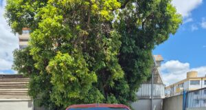 PDI Temuco recupera camioneta avaluada en 16 millones de pesos