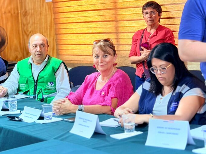 Alcaldesa de Pitrufquén junto a ediles de la región realiza solicitud a Presidente Boric ante emergencias forestales
