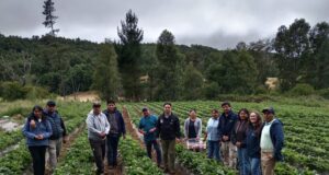 Profesionales del Programa Araucanía Asociativa del Gobierno regional e INIA Carillanca se reúnen en terreno con cooperativas