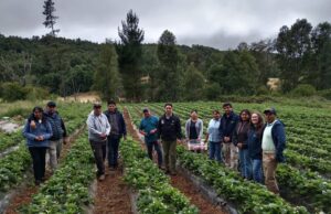 Profesionales del Programa Araucanía Asociativa del Gobierno regional e INIA Carillanca se reúnen en terreno con cooperativas
