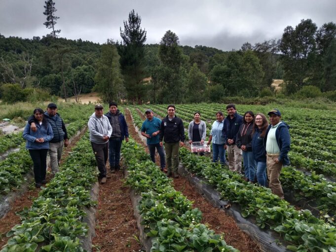 Profesionales del Programa Araucanía Asociativa del Gobierno regional e INIA Carillanca se reúnen en terreno con cooperativas