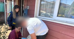 En Temuco: PDI detiene a sujeto por abandono o maltrato animal de un can dogo argentino