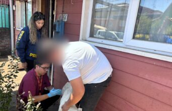 En Temuco: PDI detiene a sujeto por abandono o maltrato animal de un can dogo argentino