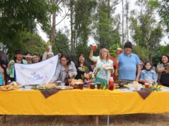 Gastronomía, música y cultura se reúnen en feria alto mirador de Pitrufquén