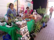 Abrió sus puertas al público la expo biosalud Villarrica 2026