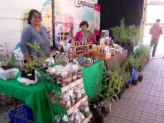 Abrió sus puertas al público la expo biosalud Villarrica 2026