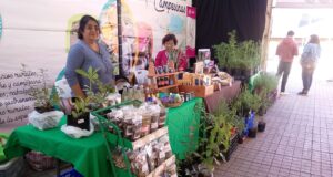 Abrió sus puertas al público la expo biosalud Villarrica 2026