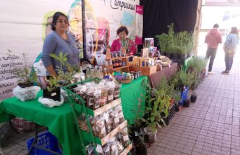 Abrió sus puertas al público la expo biosalud Villarrica 2026