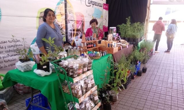 Abrió sus puertas al público la expo biosalud Villarrica 2026