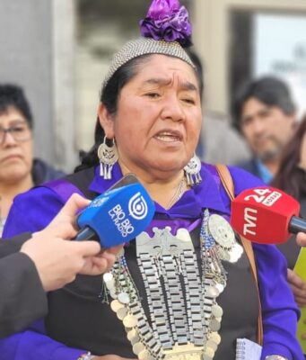 Sin agua y sin respuestas: El abandono del Estado en comunidades mapuche de Purén