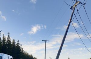 Malleco cierra el 2025 con 238 postes de Frontel impactados por accidentes de tránsito