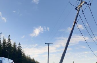 Malleco cierra el 2025 con 238 postes de Frontel impactados por accidentes de tránsito