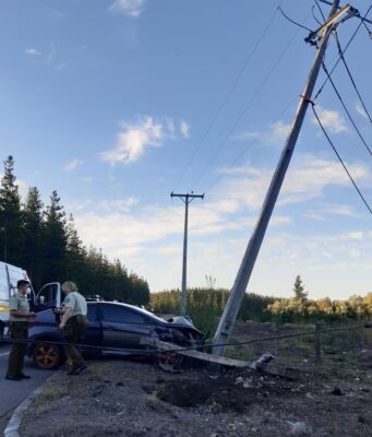 Malleco cierra el 2025 con 238 postes de Frontel impactados por accidentes de tránsito
