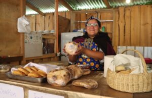 Con variedad en gastronomía y tradiciones culturales se realizan ferias costumbristas en Villarrica