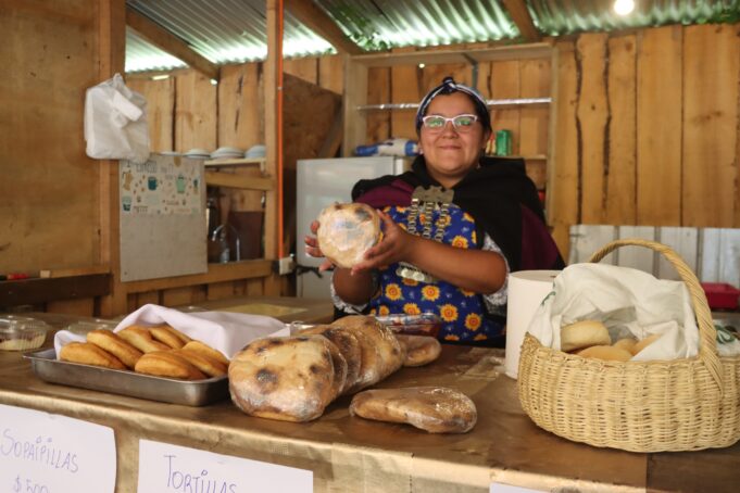 Con variedad en gastronomía y tradiciones culturales se realizan ferias costumbristas en Villarrica