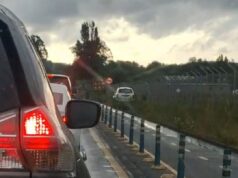 Cámaras de televigilancia municipales identifican a vehículo que pasó “por encima” de ciclovía en Pucón