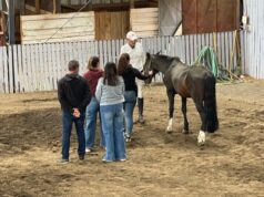 Gendarmería realiza innovadora experiencia de educación asistida con caballos en Temuco