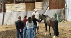 Gendarmería realiza innovadora experiencia de educación asistida con caballos en Temuco