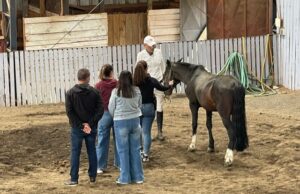 Gendarmería realiza innovadora experiencia de educación asistida con caballos en Temuco