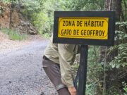 Guardaparques fortalecen protección de fauna y seguridad en Parque Huerquehue