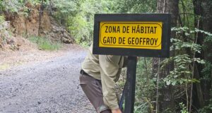 Guardaparques fortalecen protección de fauna y seguridad en Parque Huerquehue