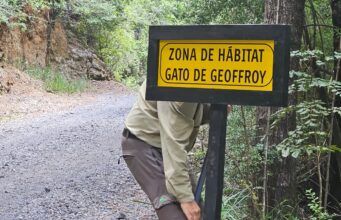 Guardaparques fortalecen protección de fauna y seguridad en Parque Huerquehue