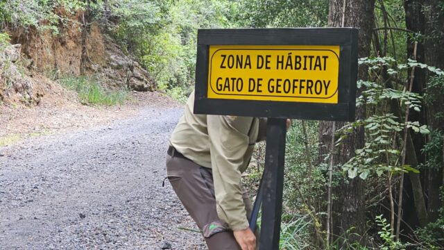 Guardaparques fortalecen protección de fauna y seguridad en Parque Huerquehue