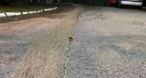 Freire: incautan red de 30 metros en sector Radal durante control de pesca recreativa