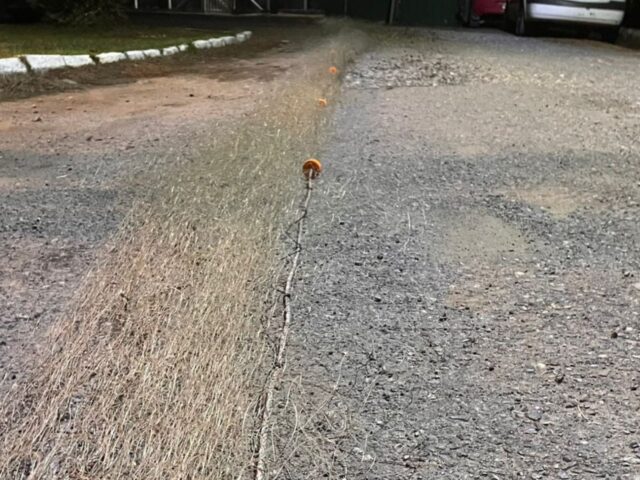 Freire: incautan red de 30 metros en sector Radal durante control de pesca recreativa