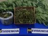 Adulta mayor de 66 años fue detenida por cultivo de cannabis en Gorbea