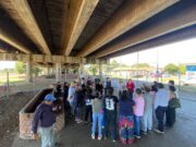 Municipio de Pitrufquén e Isa vías impulsan el cambio de rostro a la rotonda sur