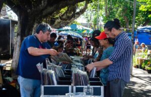 Este domingo se realiza la cuarta versión de la expo vinilo y antigüedades en Pitrufquén