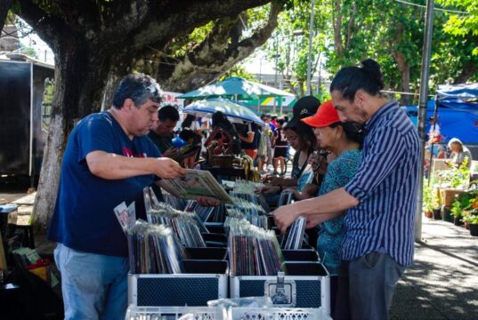 Este domingo se realiza la cuarta versión de la expo vinilo y antigüedades en Pitrufquén