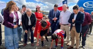 Carahue inicia la esperada reconstrucción del estadio viejo