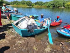 Menos basura, más conciencia: exitosa jornada de limpieza fluvial y terrestre en ríos Toltén y Allipén
