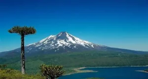 Pareja de turistas es encontrada ilesa tras más de 16 horas extraviada en el parque nacional Conguillío