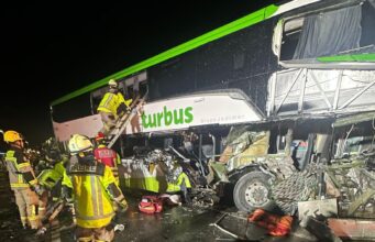 Conductor de Turbus pasará a control de detención tras colisión fatal con camión en Pitrufquén