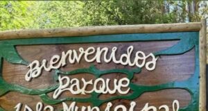 Huairavo fue rescatado tras quedar enredado en nylon de pesca en el parque isla municipal de Pitrufquén