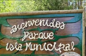 Huairavo fue rescatado tras quedar enredado en nylon de pesca en el parque isla municipal de Pitrufquén