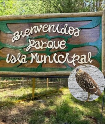 Huairavo fue rescatado tras quedar enredado en nylon de pesca en el parque isla municipal de Pitrufquén