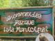 Huairavo fue rescatado tras quedar enredado en nylon de pesca en el parque isla municipal de Pitrufquén
