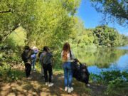 Humedales vivos: Pitrufquén alza la voz por su patrimonio natural