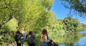 Humedales vivos: Pitrufquén alza la voz por su patrimonio natural