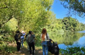 Humedales vivos: Pitrufquén alza la voz por su patrimonio natural