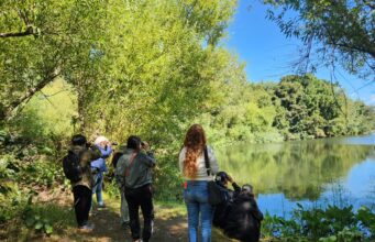 Humedales vivos: Pitrufquén alza la voz por su patrimonio natural