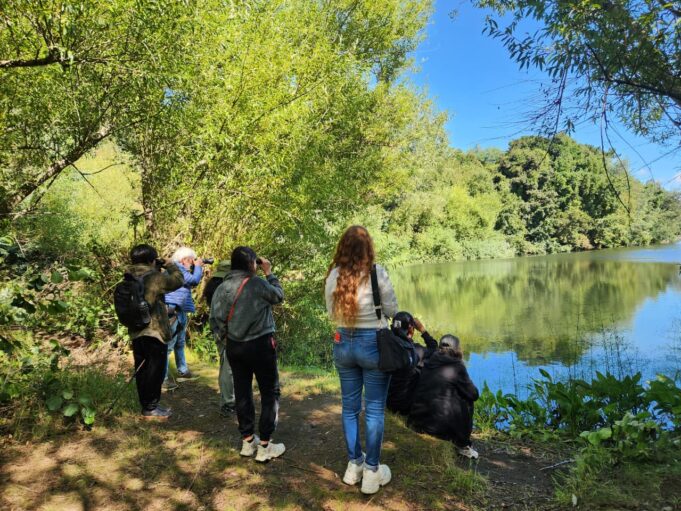 Humedales vivos: Pitrufquén alza la voz por su patrimonio natural