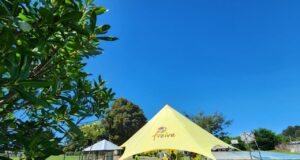 Municipio de Freire afina operativos para dar inicio a la Expo Freire 2026